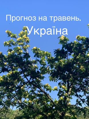 Photo 2024 05 08 18 41 25