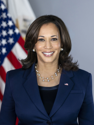 Kamala harris vice presidential portrait
