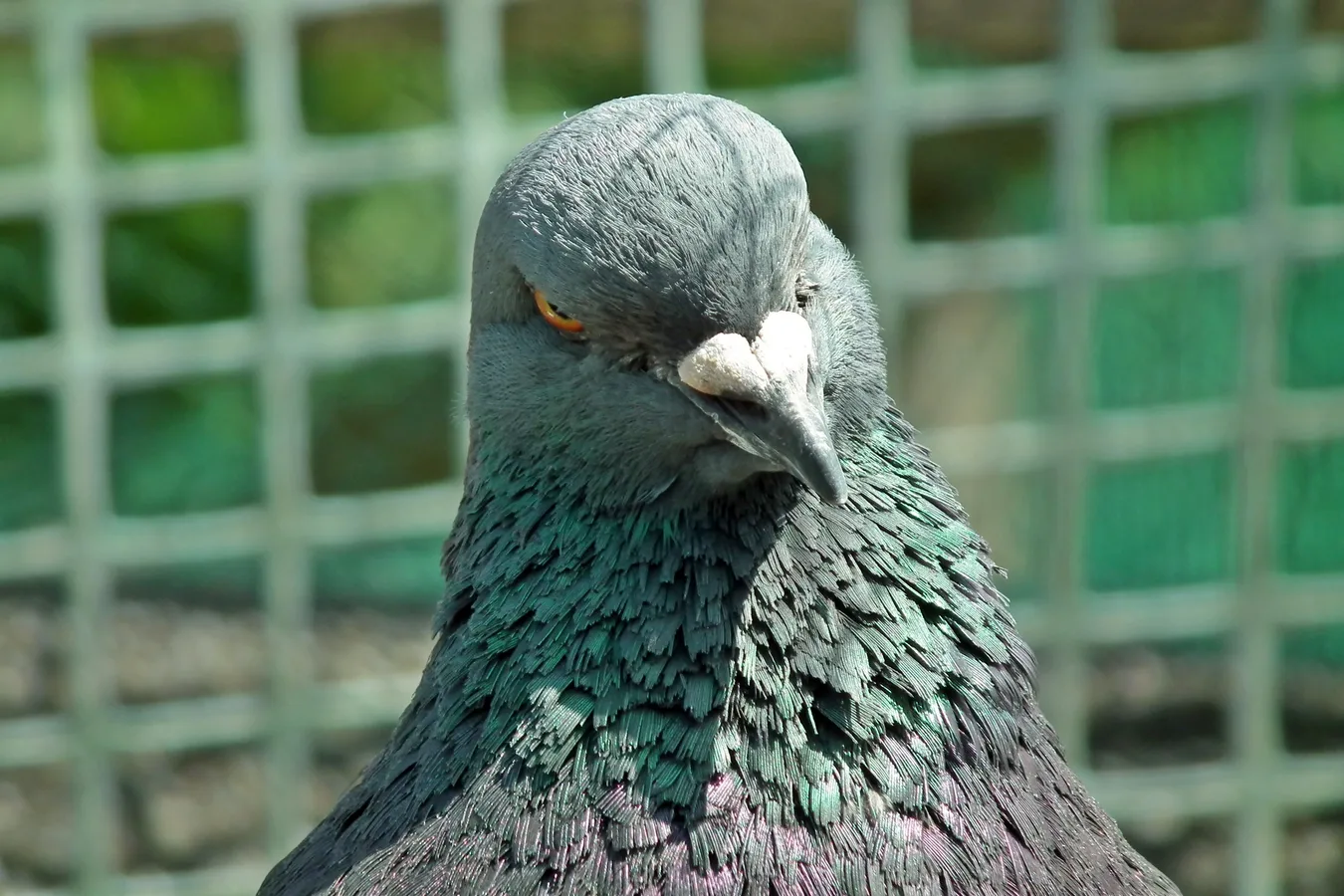 Астрологический прогноз на октябрь 2018г. 