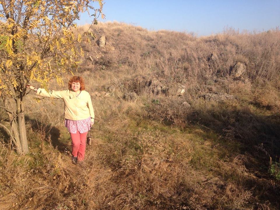 Курган Чертомлык
