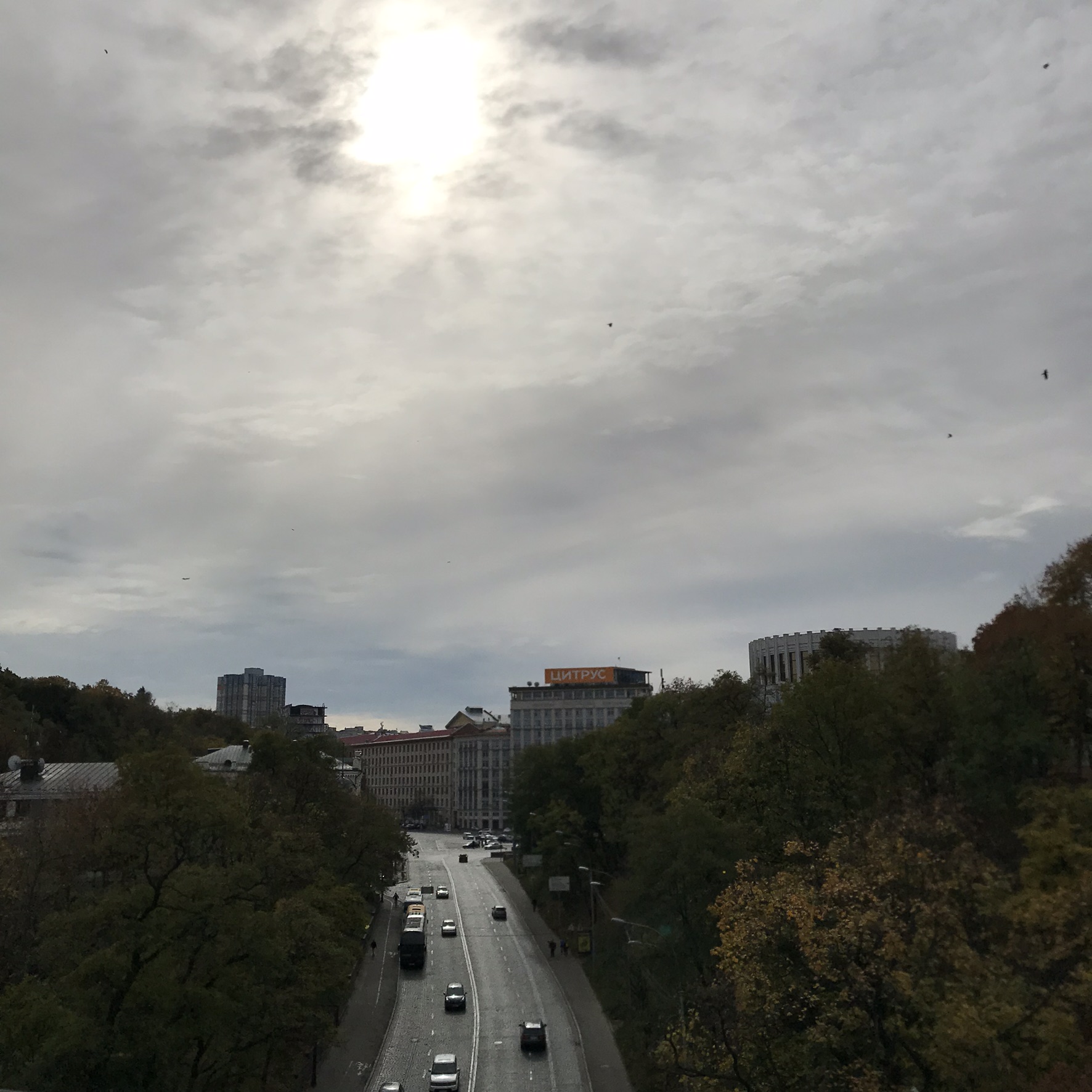 Дары звездной феи для Украины. 