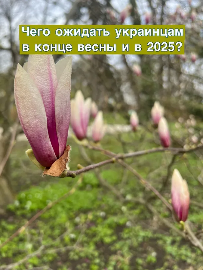 Мир или война? Чего ждать украинцам в конце весны и в 2025?