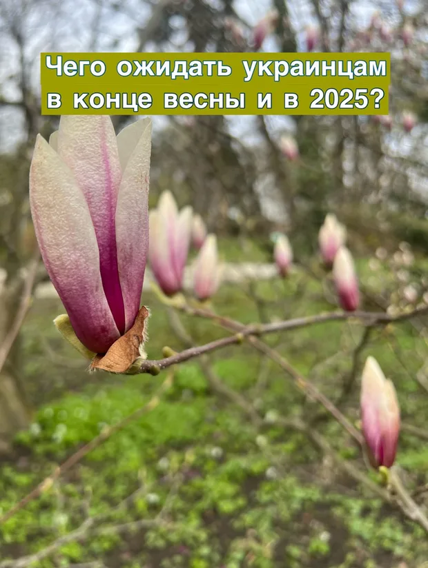 Мир или война? Чего ждать украинцам в конце весны и в 2025?