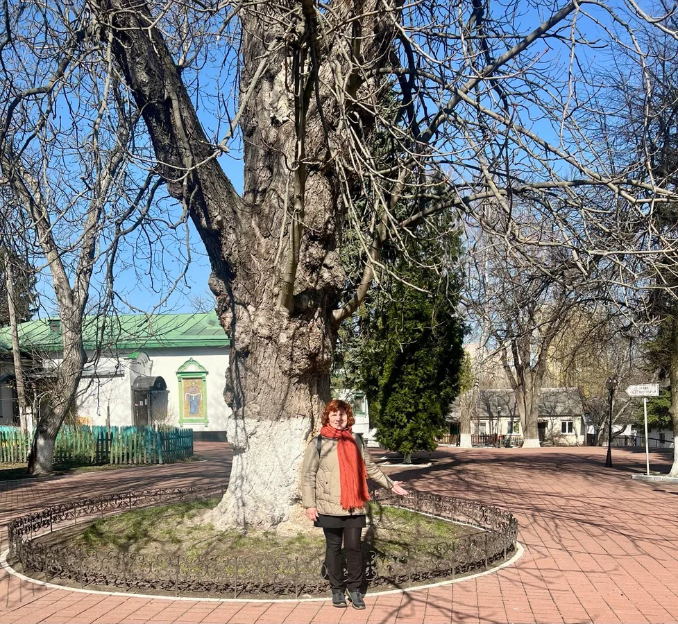 Дива Голосеевского леса. Киев