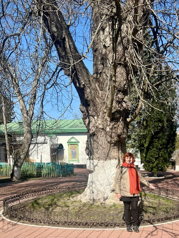 Дива Голосеевского леса. Киев