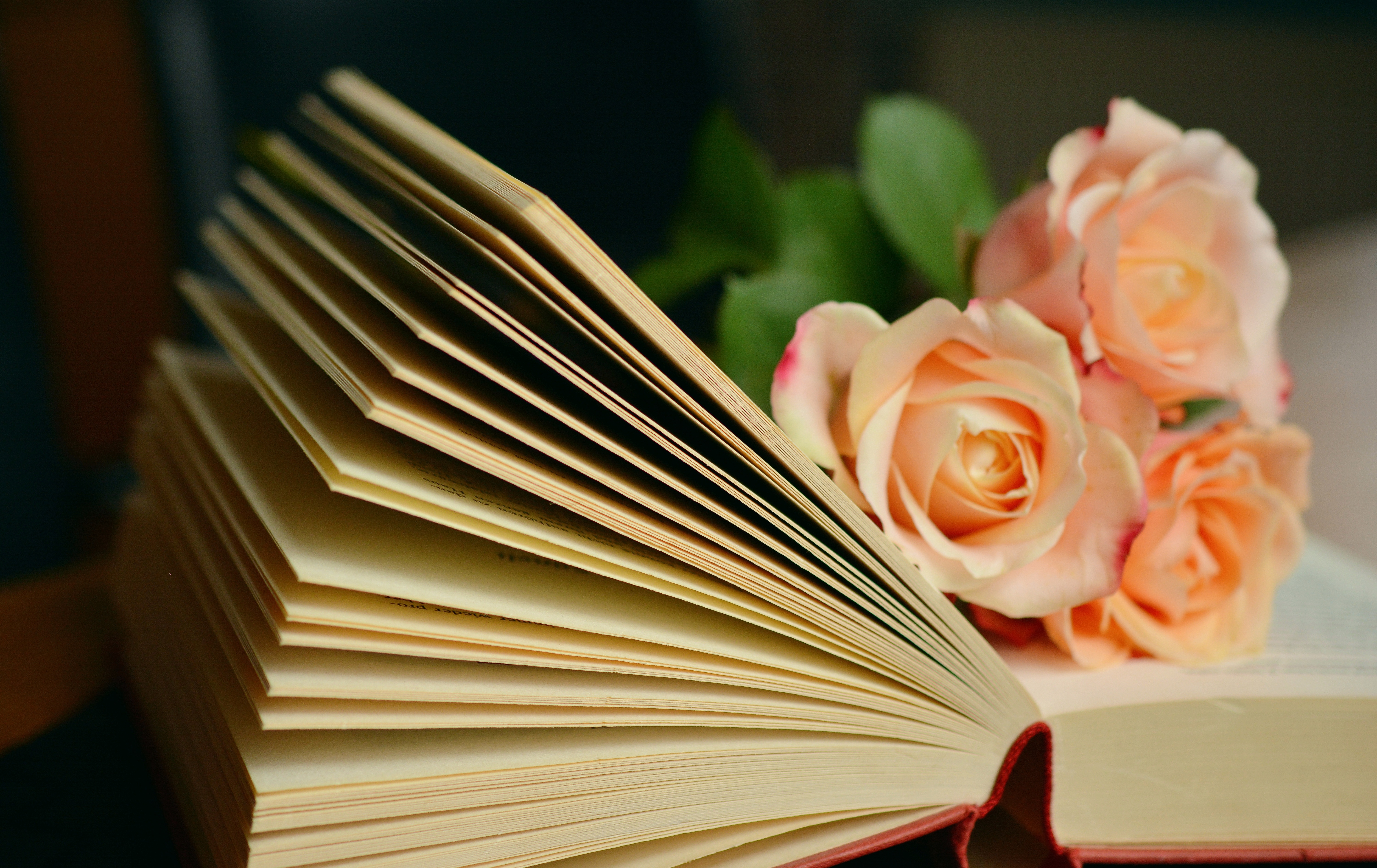 Мои статьи и книги. Список