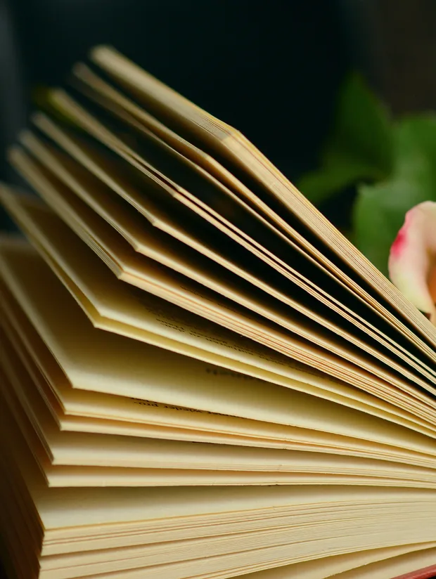 Мои статьи и книги. Список